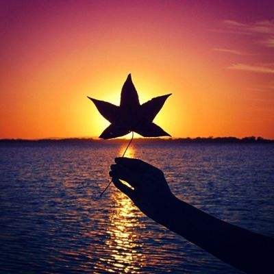 优达幸存者无敌版